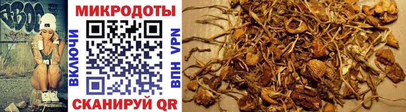 Галлюциногенные грибы ЛСД Купить где Стрежевой